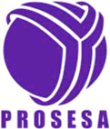 Prosesa